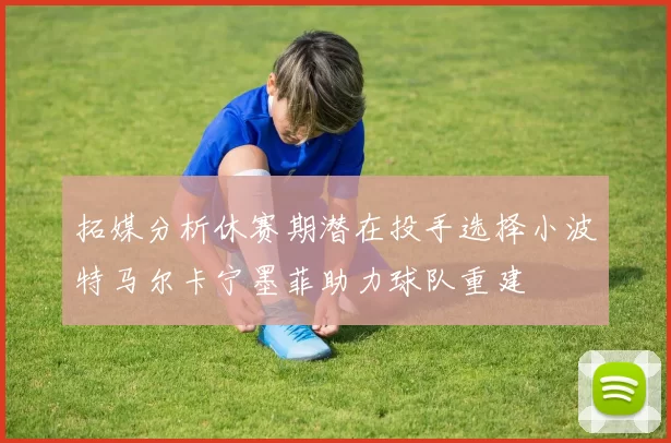 拓媒分析休赛期潜在投手选择小波特马尔卡宁墨菲助力球队重建